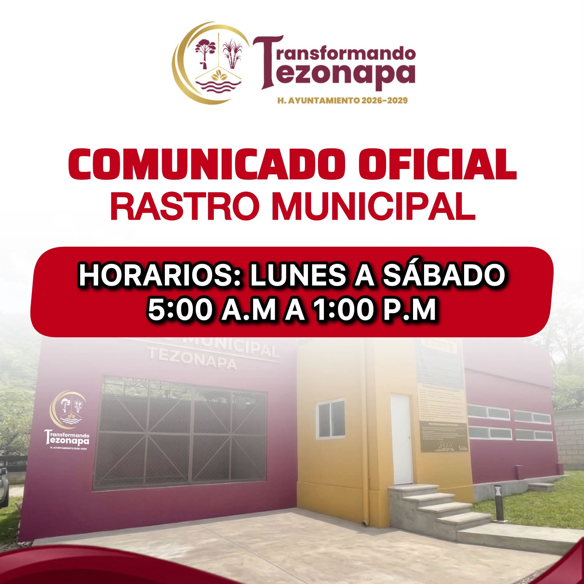 Noticia 5